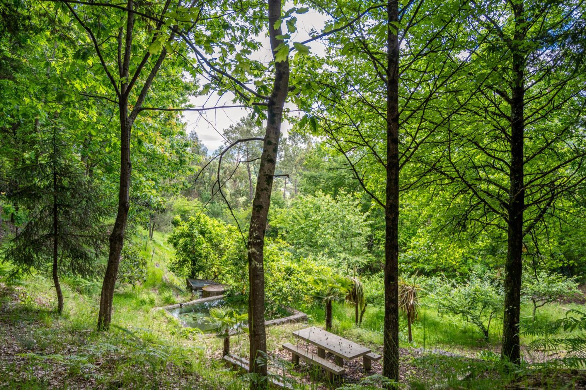 Villas Prendal Eco Living - Minho'S Guest 귀마레스 외부 사진